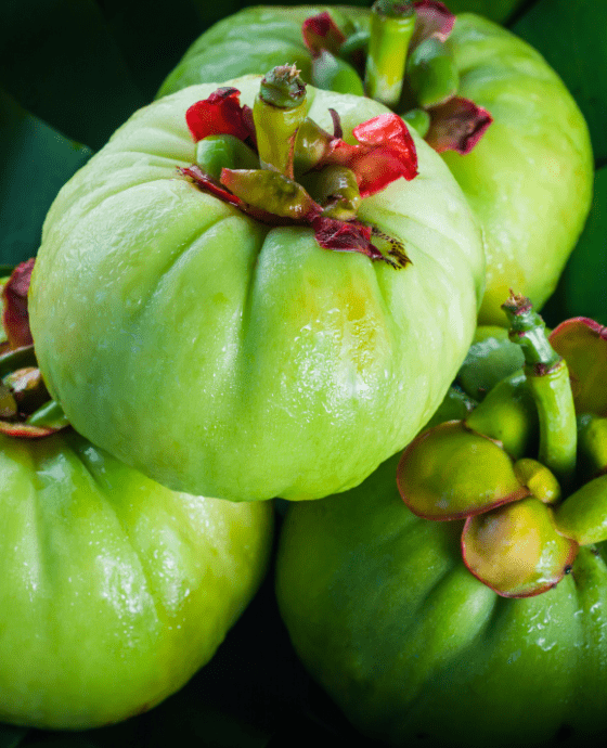 Vilayti Imli / Garcinia Cambogia Fruit
